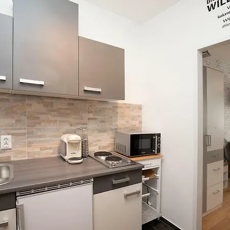 Modern Studio-apartment In Near Hallstatt Διαμέρισμα